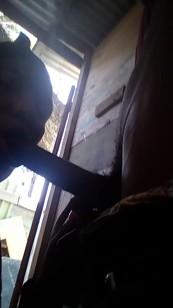 Sucking on a 11inches chocolate dick