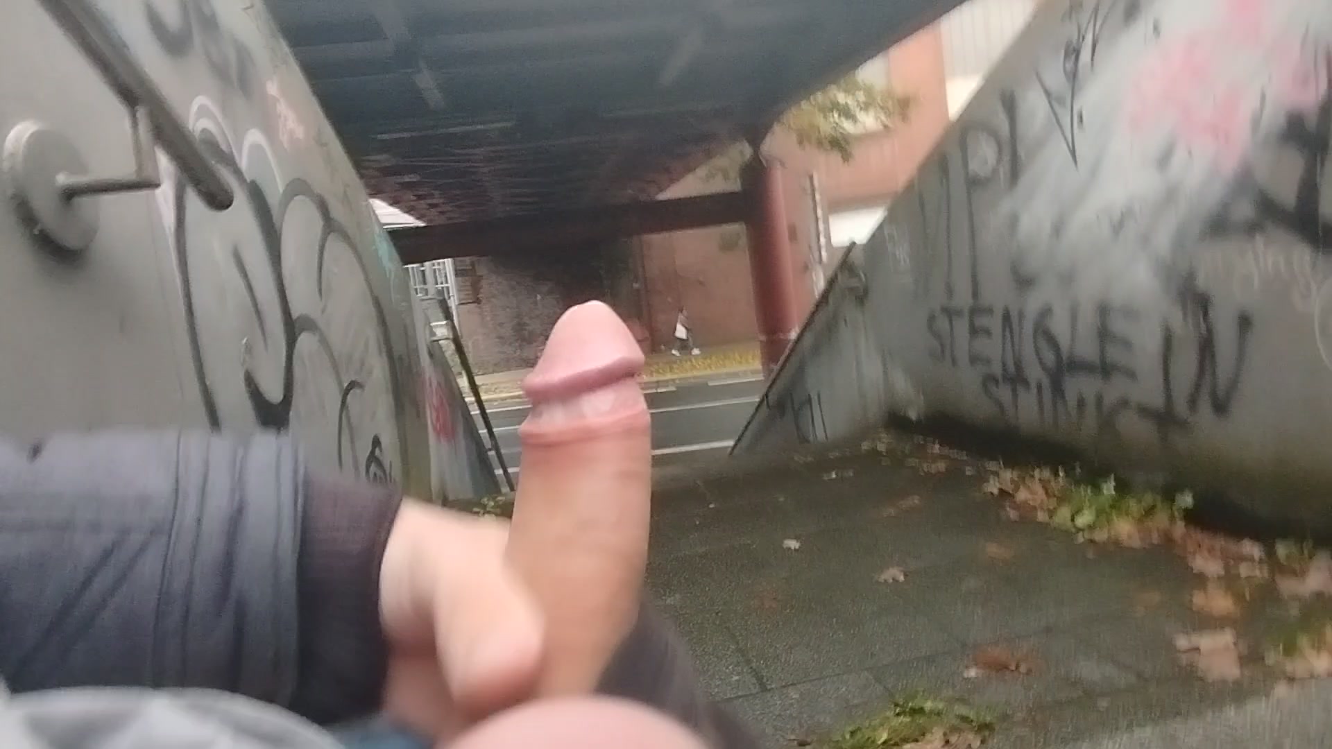 Public dick flash in city