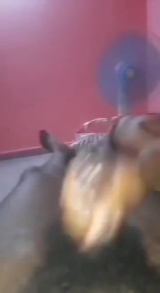 Gouthami reddy manthena milky boobs pressing Hard by husband's friend secretly