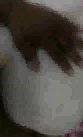 hot wife cheating with her ex while her husband is out mm