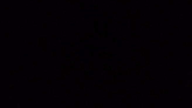 Bokep