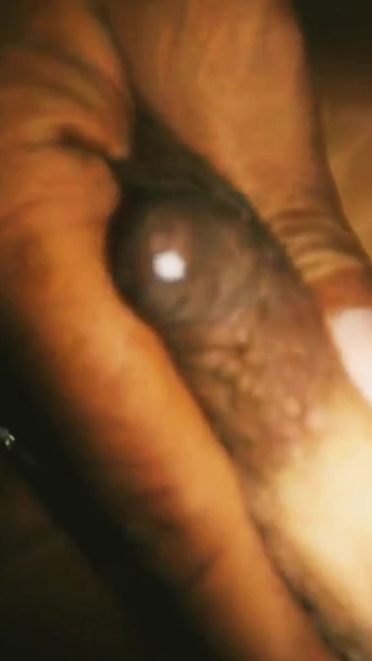 Mallu Boy Sucking His Brother Wife Milky Boobs
