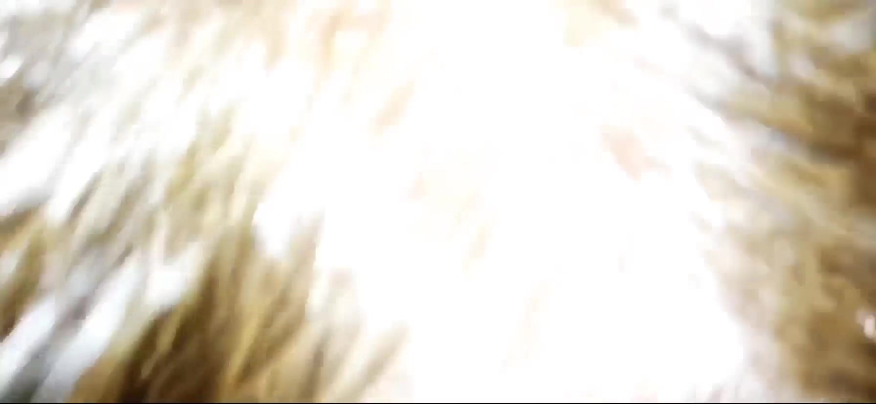 My wife blowjob our neighbor's cock