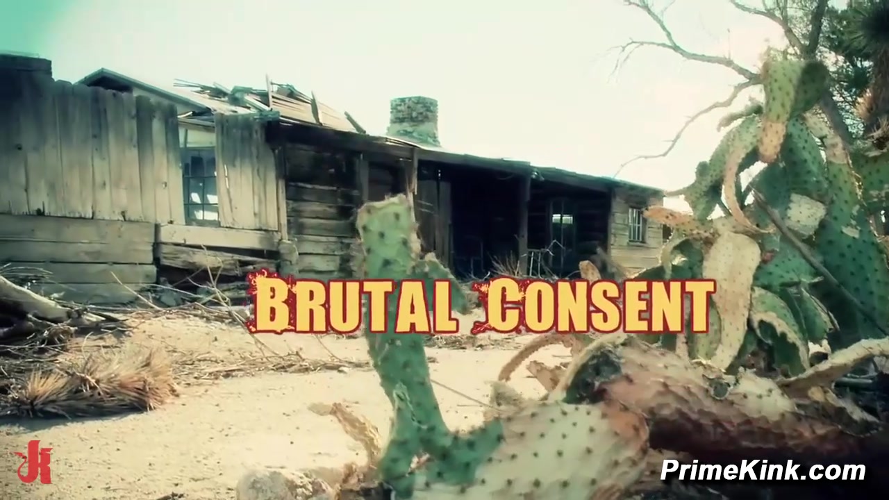 Merciless Consent Casey Lyla James